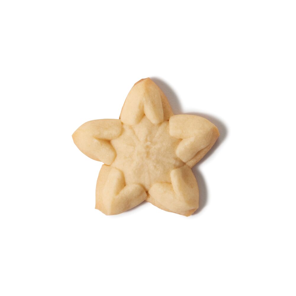 Christmas Cookie Press Disk Set Q5