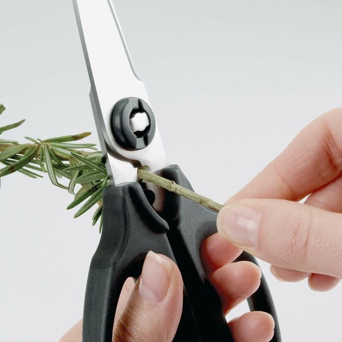 Kitchen And Herb Scissors Z1