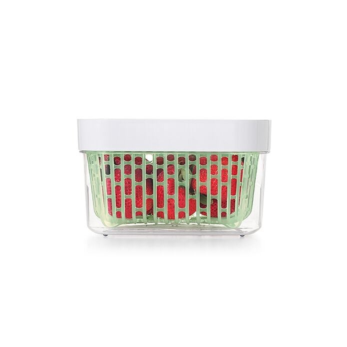 GreenSaver Produce Keeper (1.6 Qt) S2