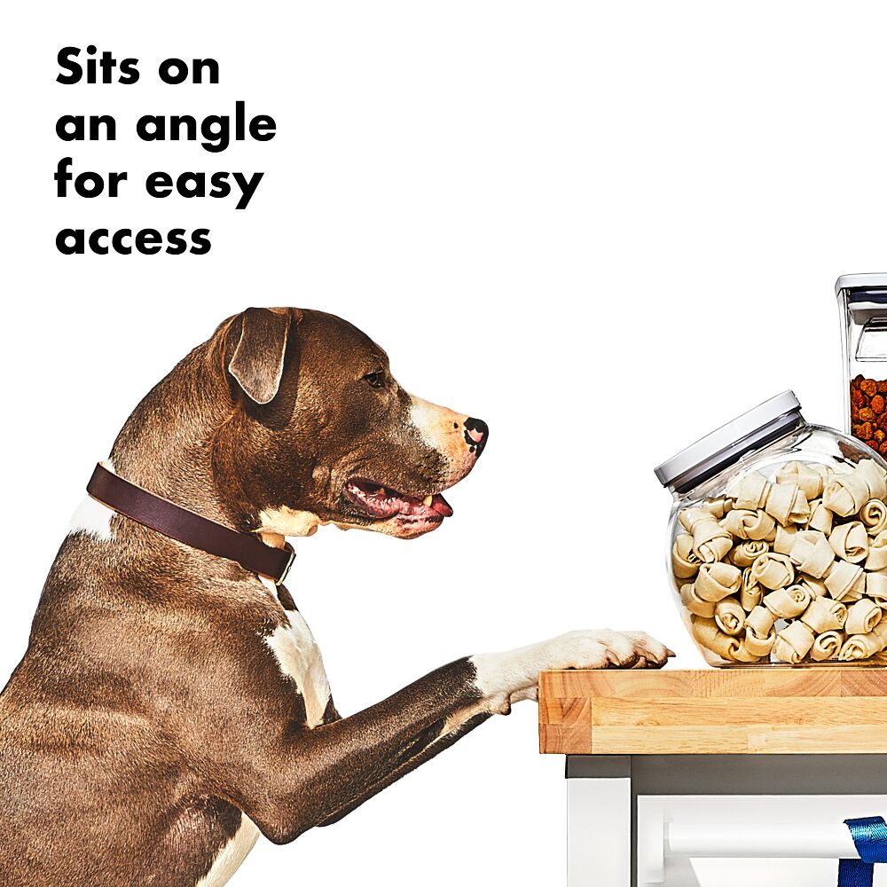 OXO Good Grips Pet POP Container – 3.0 Qt/2.8 L X3