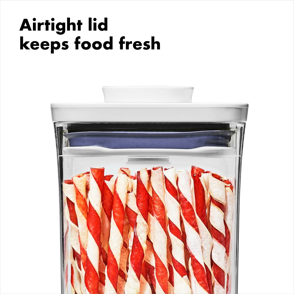 OXO Good Grips Pet POP Container – 1.1 Qt/1 L T2