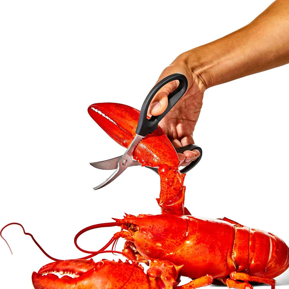 Seafood Scissors A7
