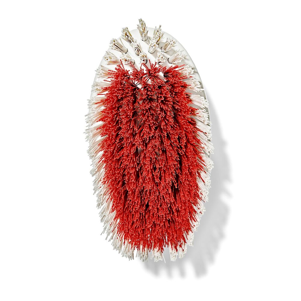 All-Purpose Scrub Brush 2-Pack D4