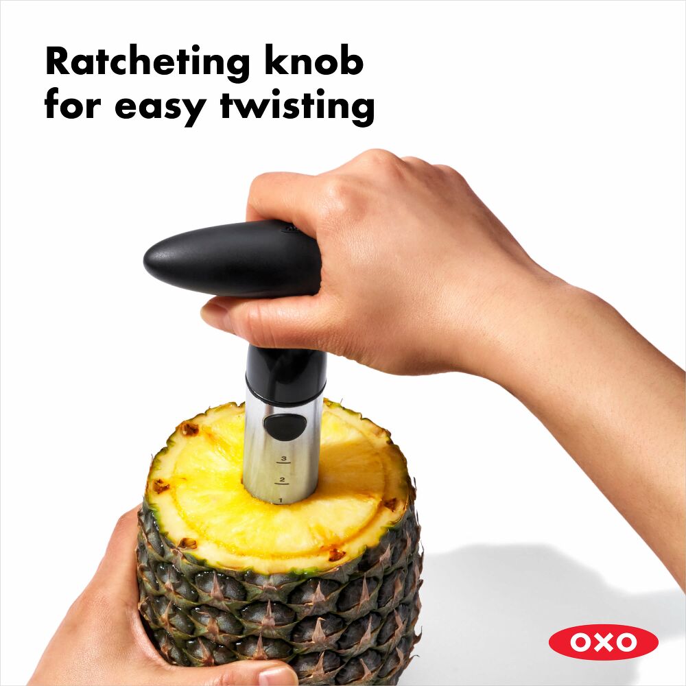 Stainless Steel Pineapple Slicer H7