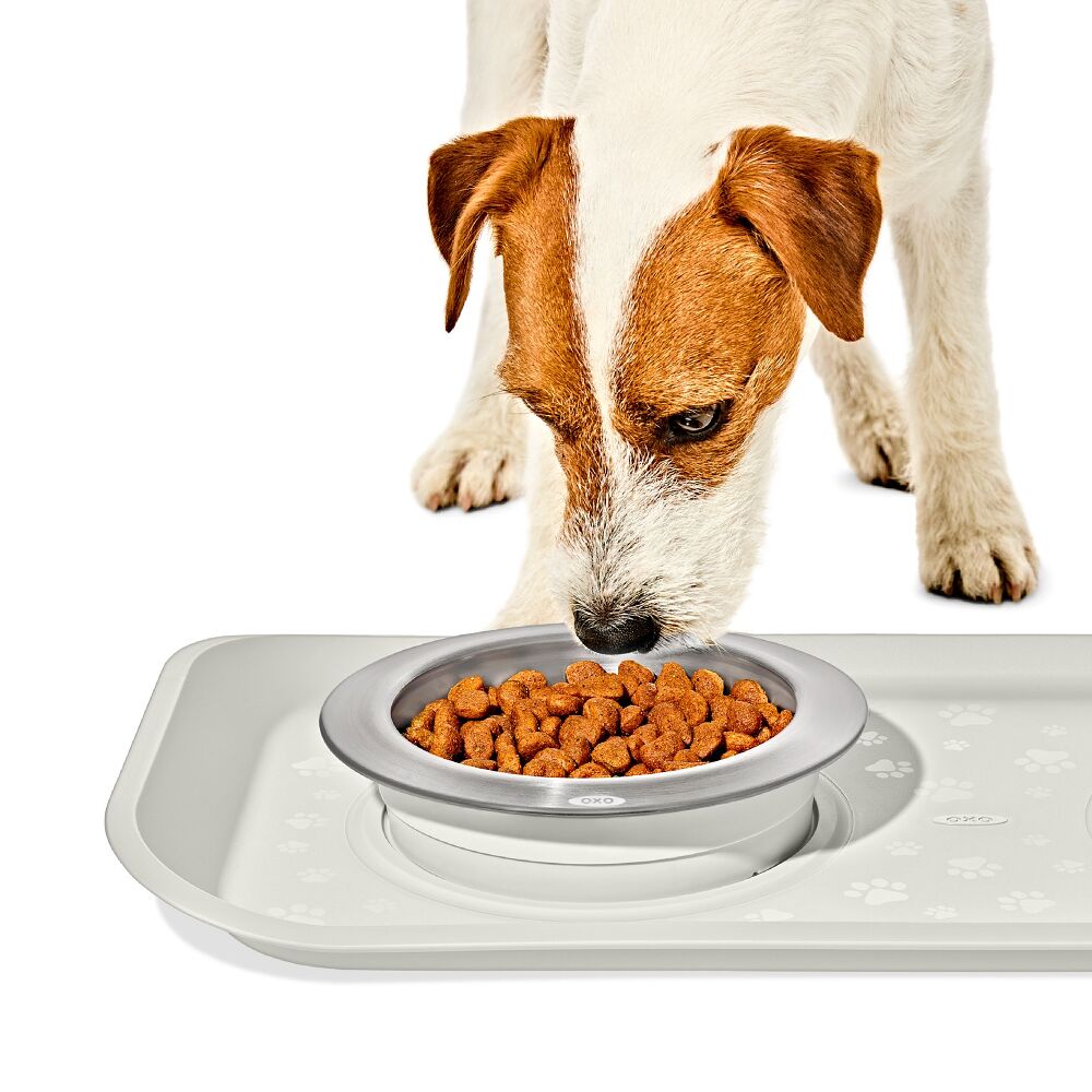 OXO Pet Nonslip Bowl - Small, 1 Cup / 240 mL T0