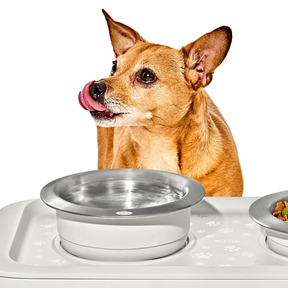 OXO Pet Nonslip Bowl - Medium, 2 Cups / 480 mL P9