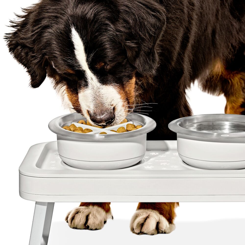 OXO Pet Easy-Clean Slow Feeder - Large, 4 Cups/950 ml E6