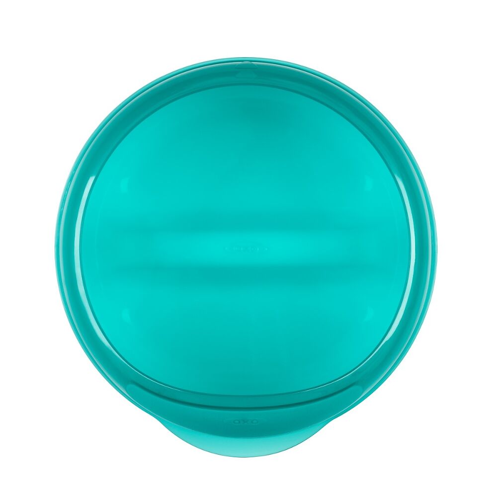 Divided Feeding Dish with Removable Ring I1