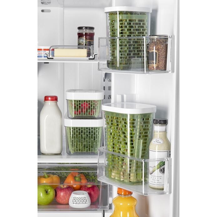 GreenSaver Standing Crisper Insert - 1 Pc D3