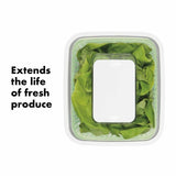 GreenSaver Produce Keeper (4.3 Qt) S9