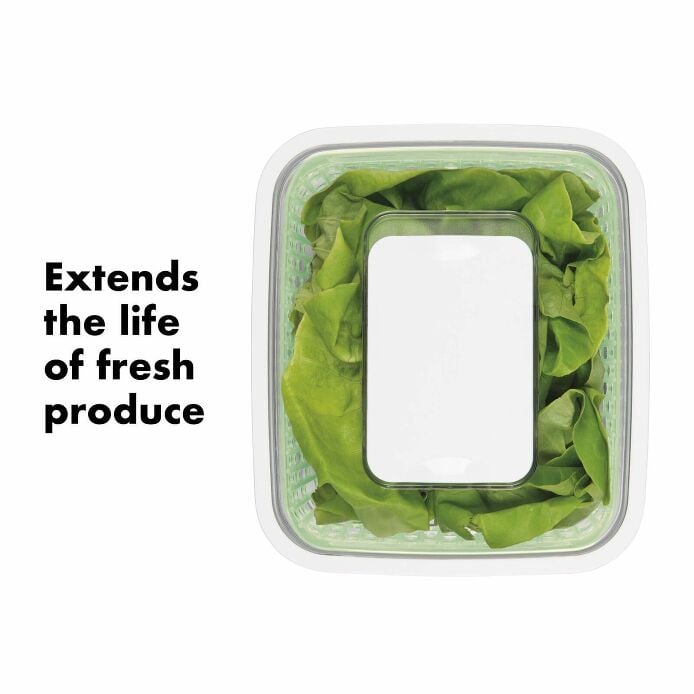 GreenSaver Produce Keeper (4.3 Qt) S9