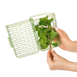 GreenSaver Herb Keeper - Small S0