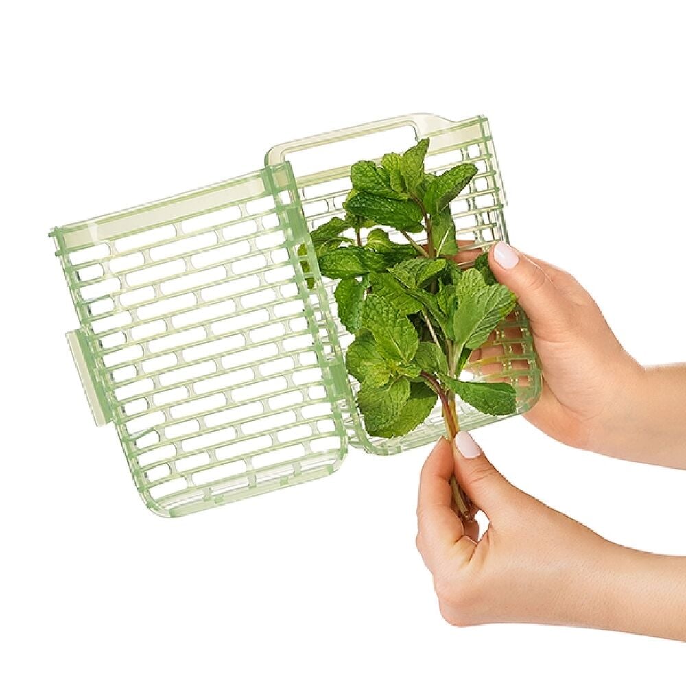 GreenSaver Herb Keeper - Small S0