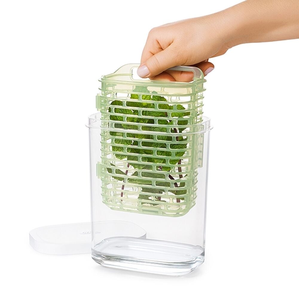 GreenSaver Herb Keeper - Small G4