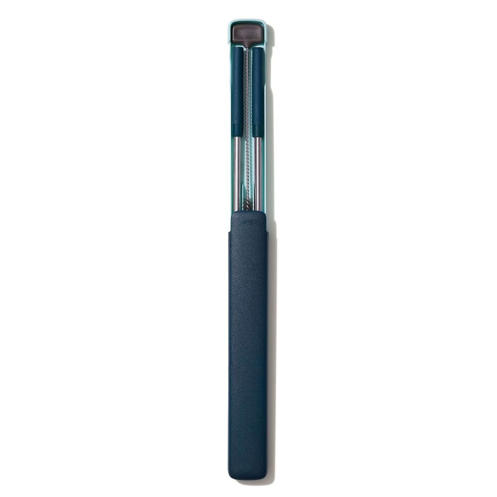 4-Piece Reusable Straw and Brush Set with Case D1