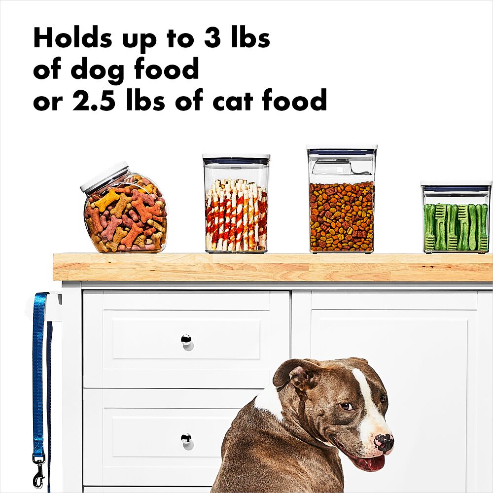 OXO Good Grips Pet POP Container – 3.3 Qt/3.1 L X2