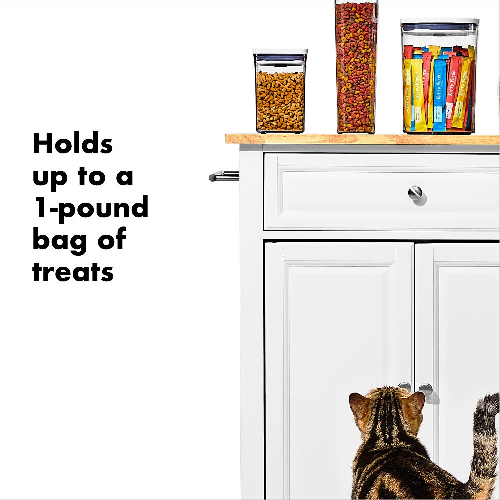 OXO Good Grips Pet POP Container – 1.1 Qt/1 L T2
