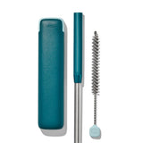 Collapsible Straw With Case F9