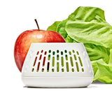Produce Saver Crisper Drawer Insert  2-Pack S1