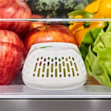 Produce Saver Crisper Drawer Insert  2-Pack S1