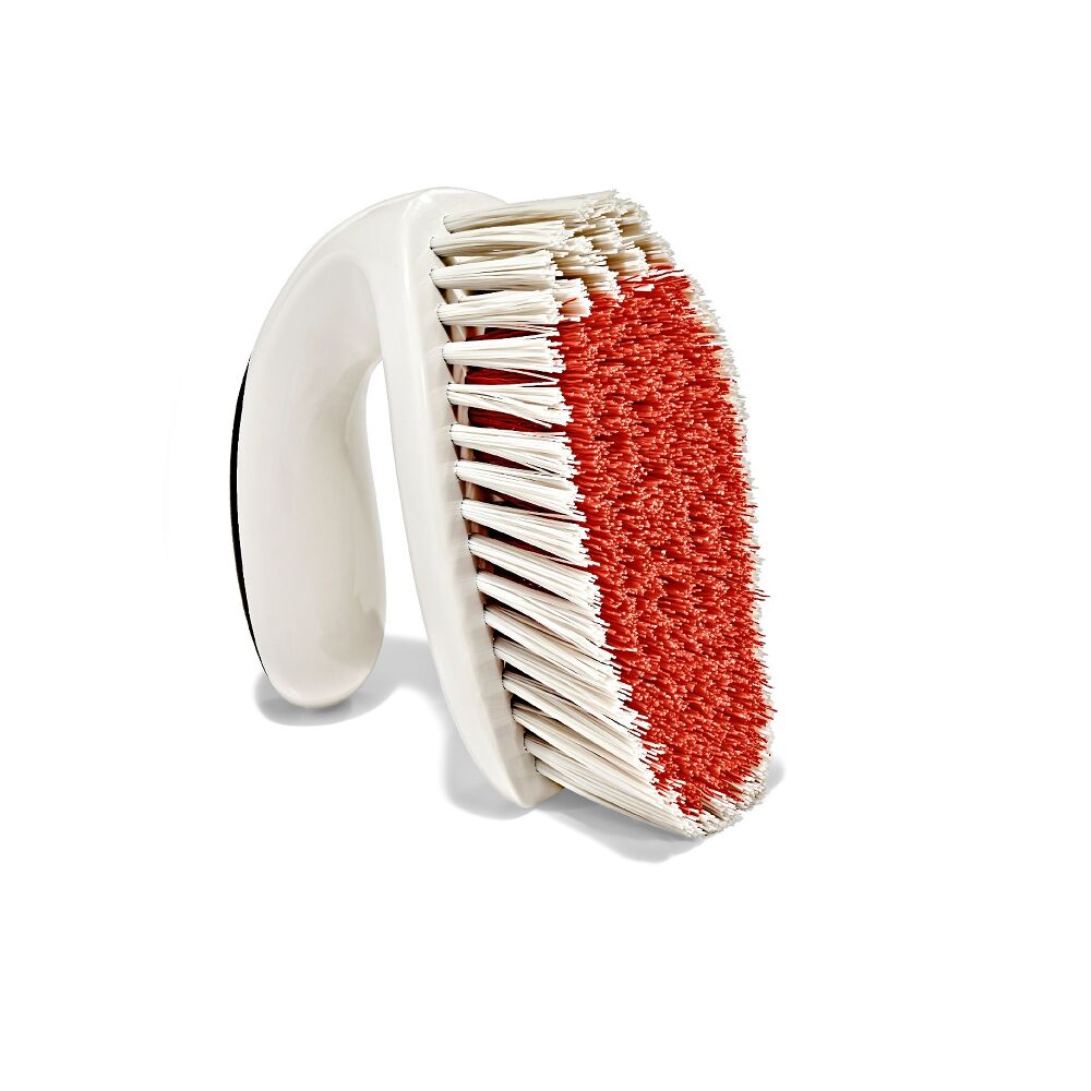 All-Purpose Scrub Brush 2-Pack D4