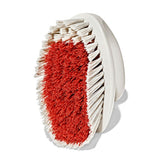 All-Purpose Scrub Brush 2-Pack D4