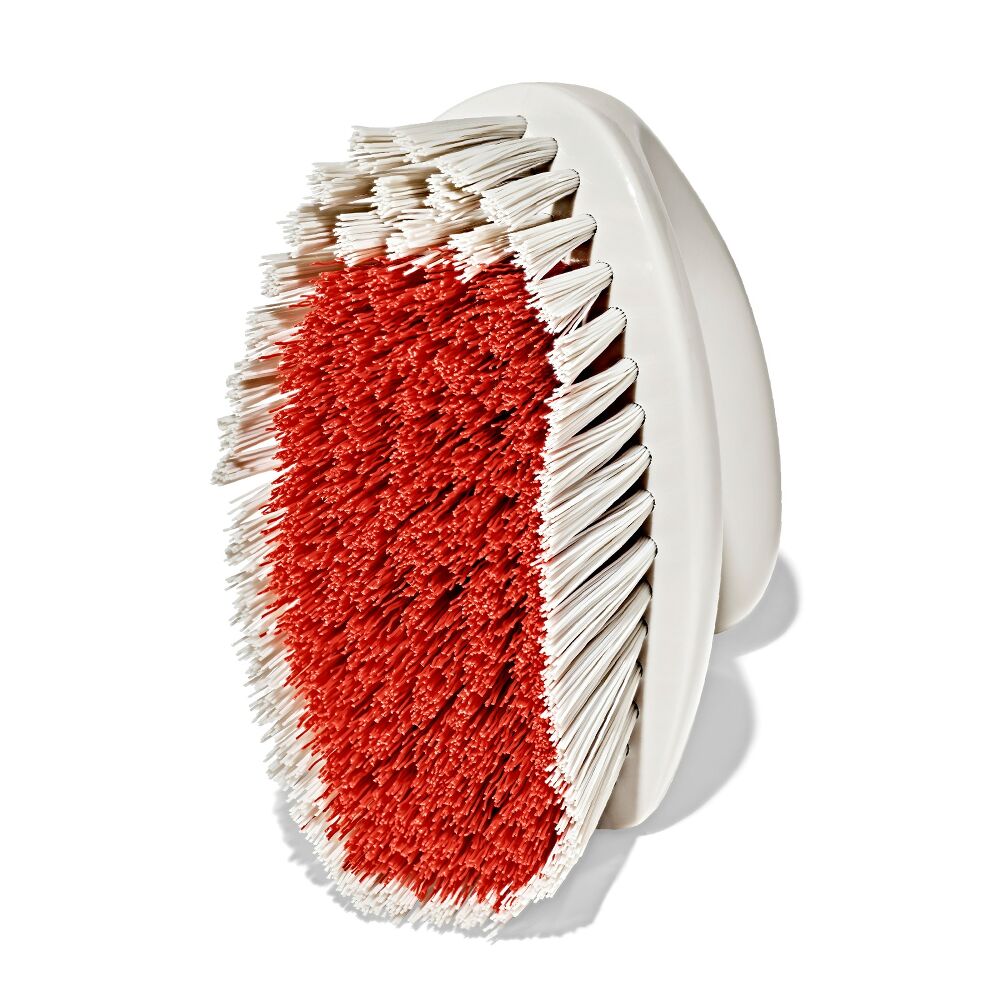 All-Purpose Scrub Brush 2-Pack D4