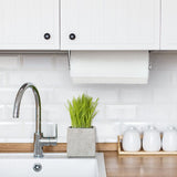Steady Mounted Paper Towel Holder W6