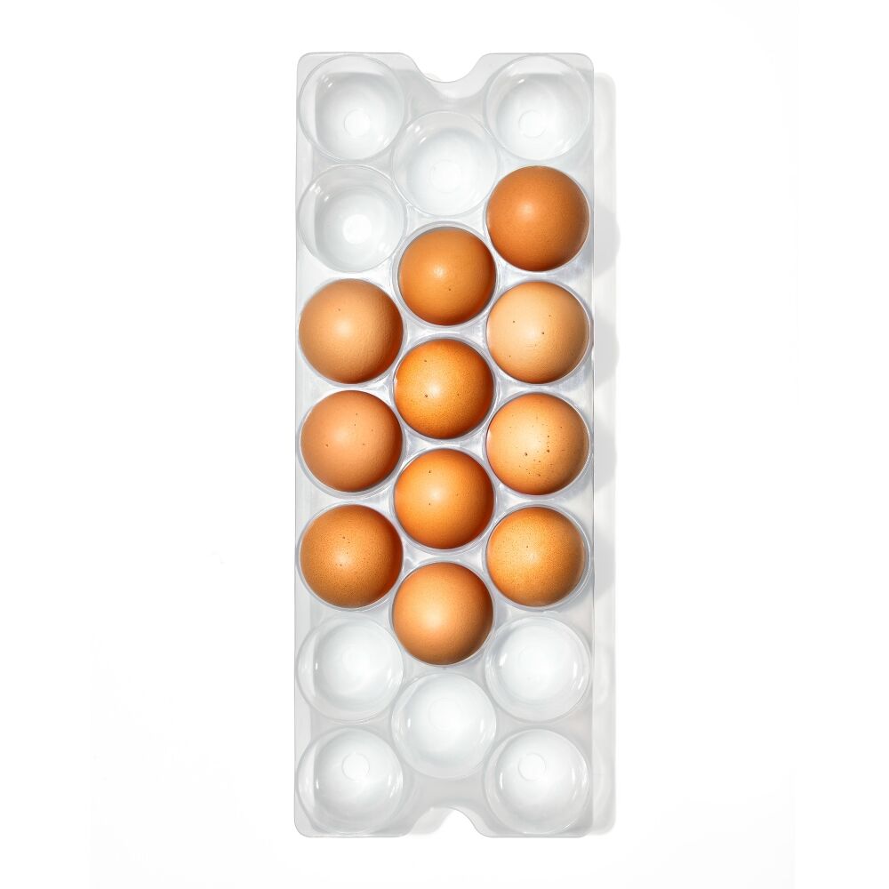 Refrigerator Egg Bin With Removable Tray S4
