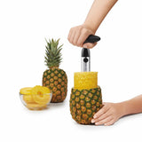 Stainless Steel Pineapple Slicer H7