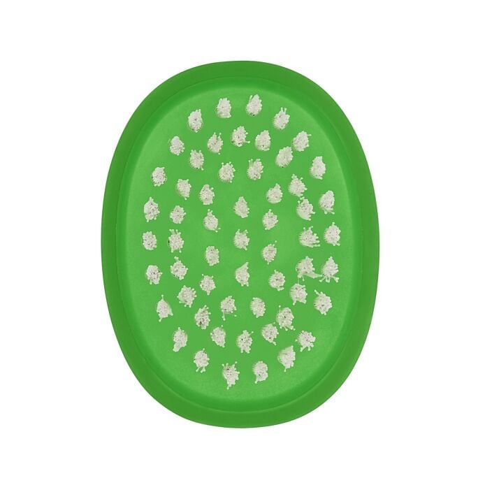 Vegetable Brush V6