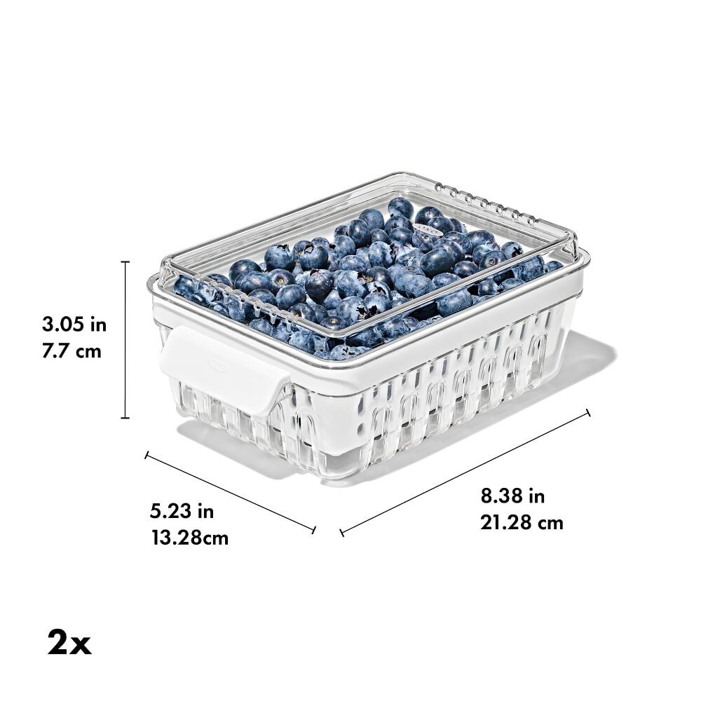 Produce Saver - Berry Keeper 2-Piece Set A6