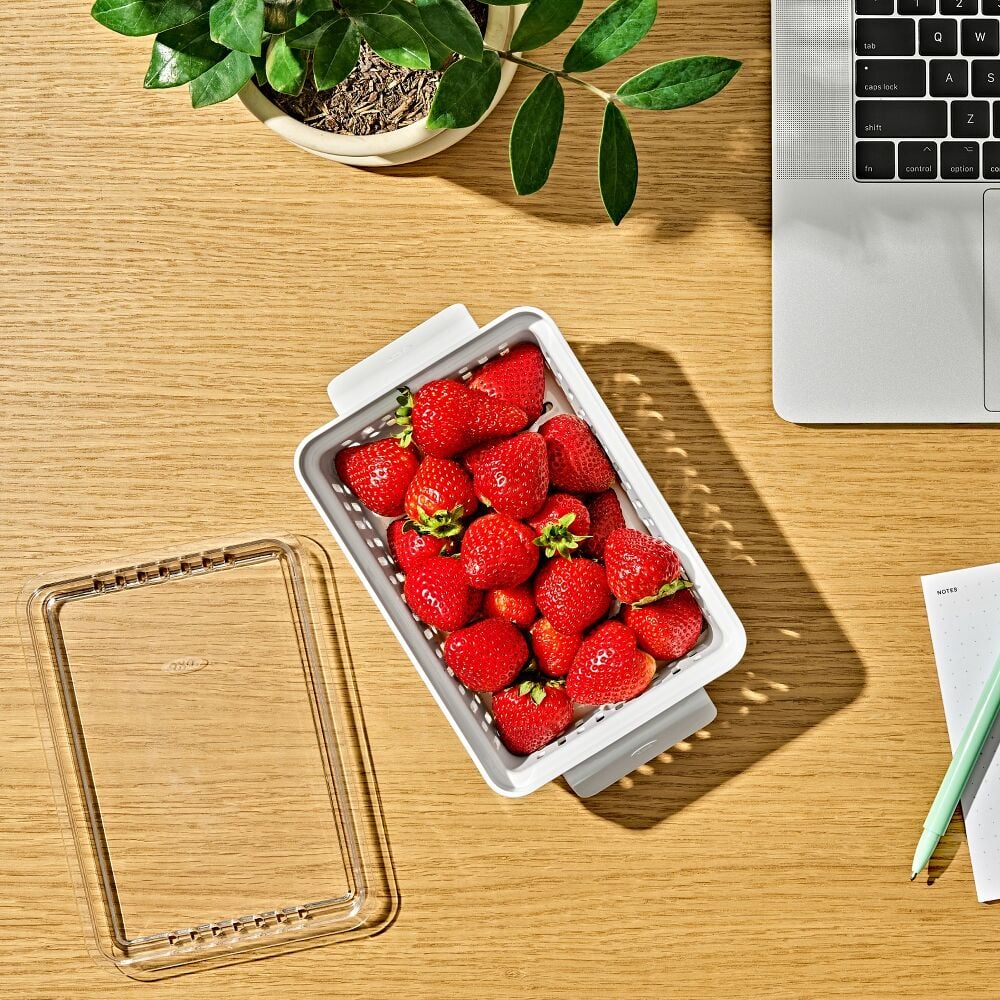 Produce Saver - Berry Keeper 2-Piece Set R5