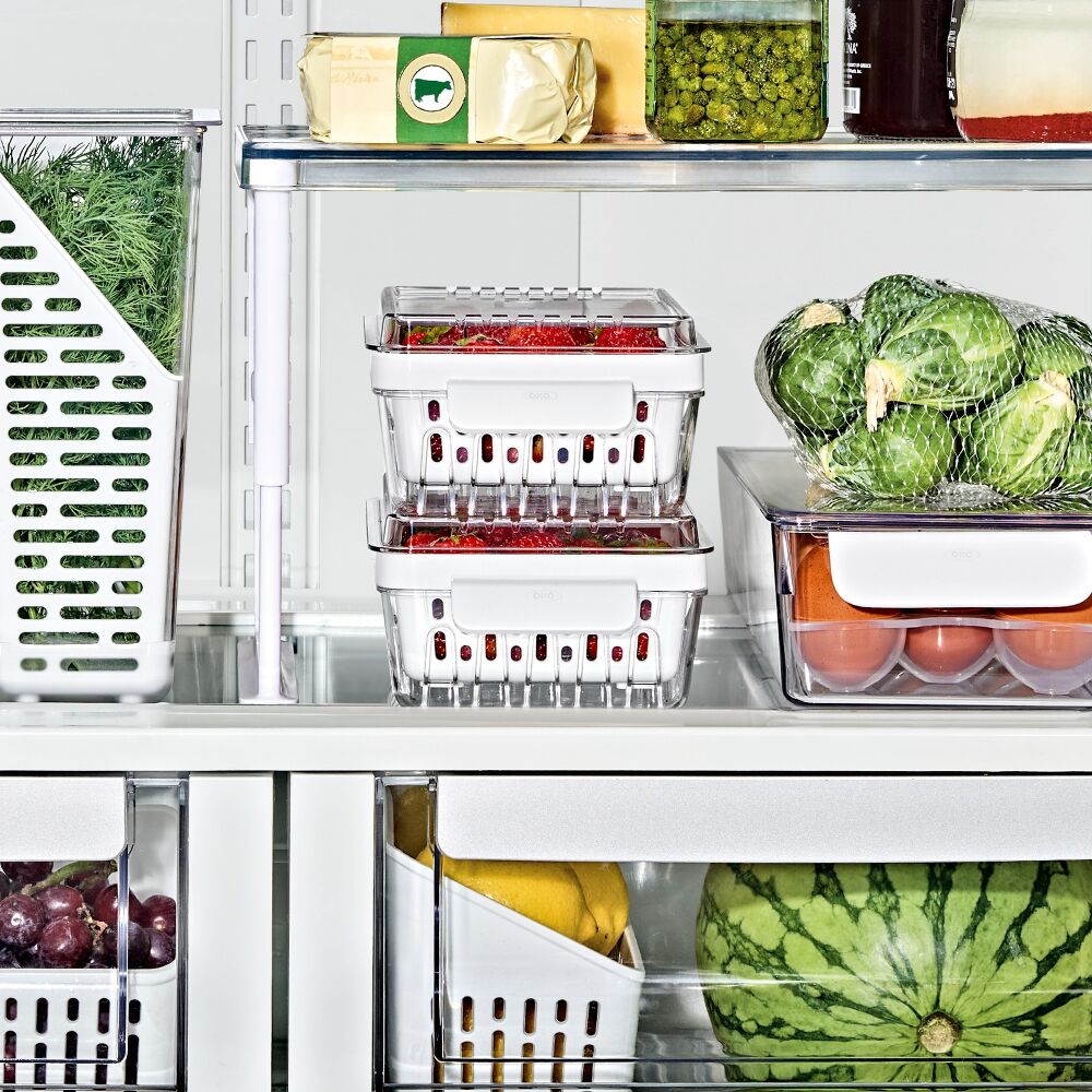 Produce Saver - Berry Keeper 2-Piece Set R5