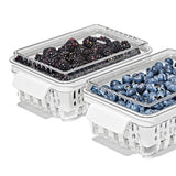 Produce Saver - Berry Keeper 2-Piece Set R5
