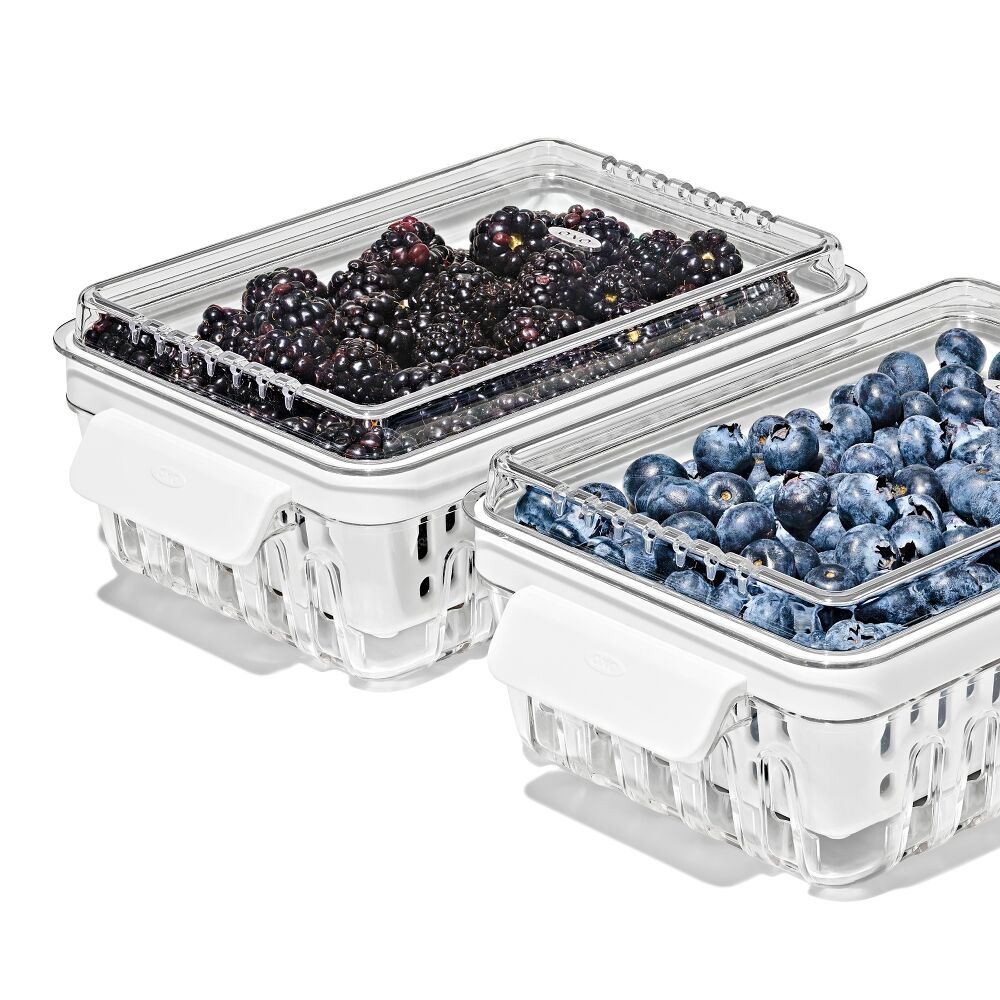 Produce Saver - Berry Keeper 2-Piece Set R5