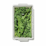 Produce Saver - Medium Bin H9