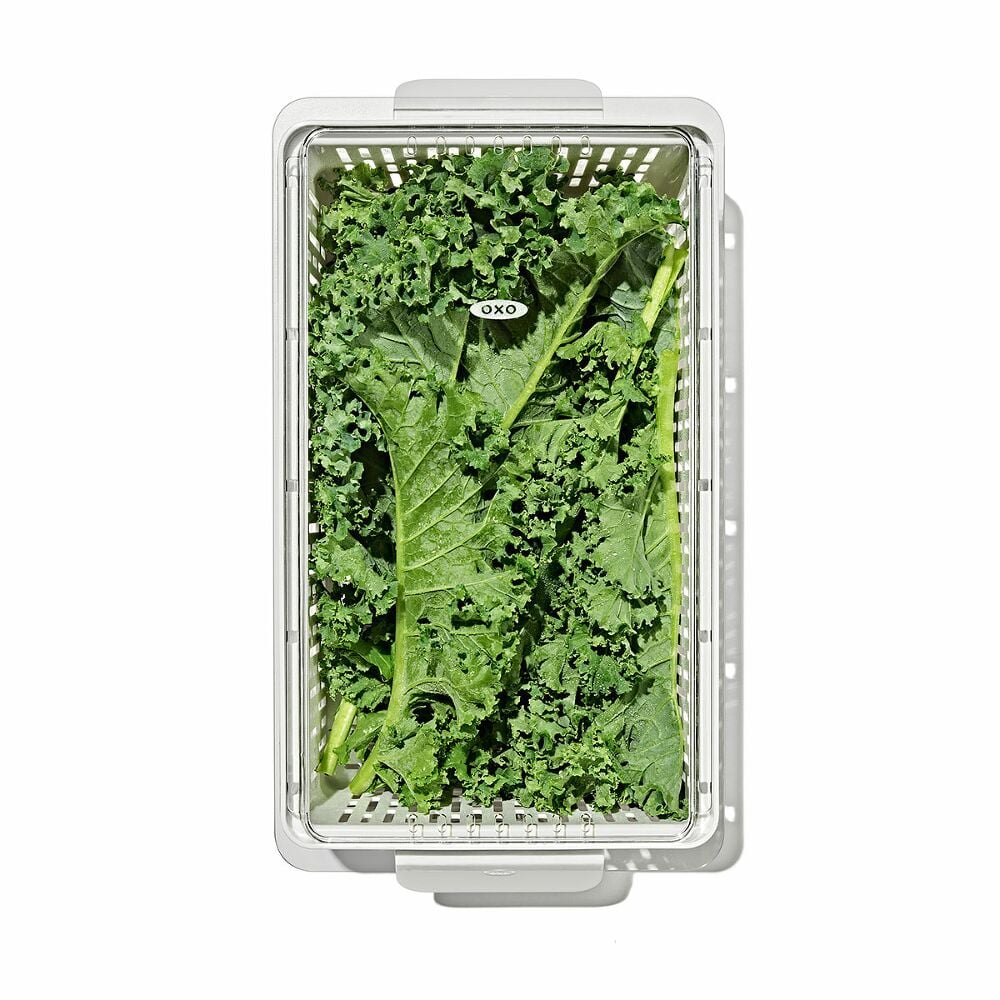Produce Saver - Medium Bin H9
