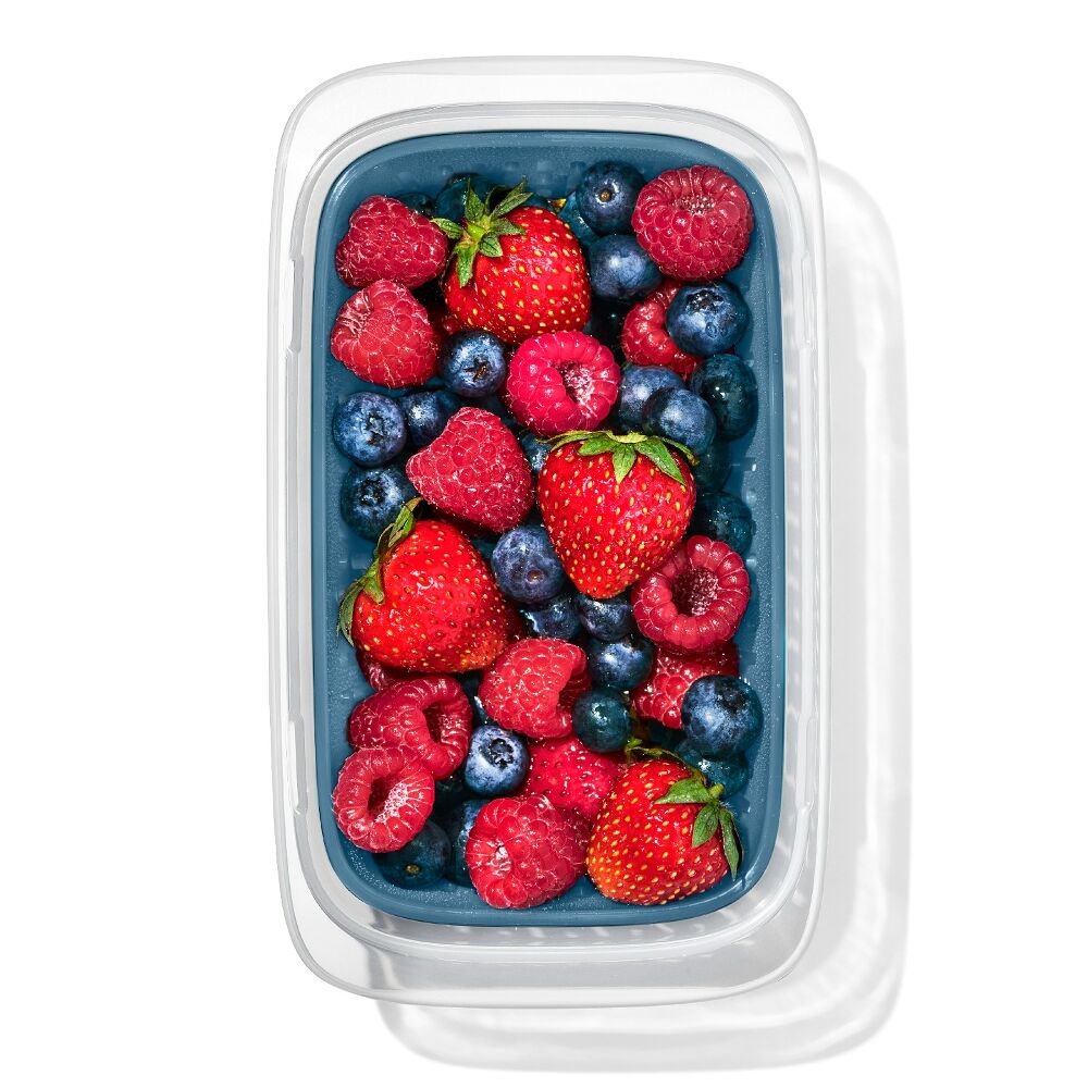 Prep & Go Container with Colander E0