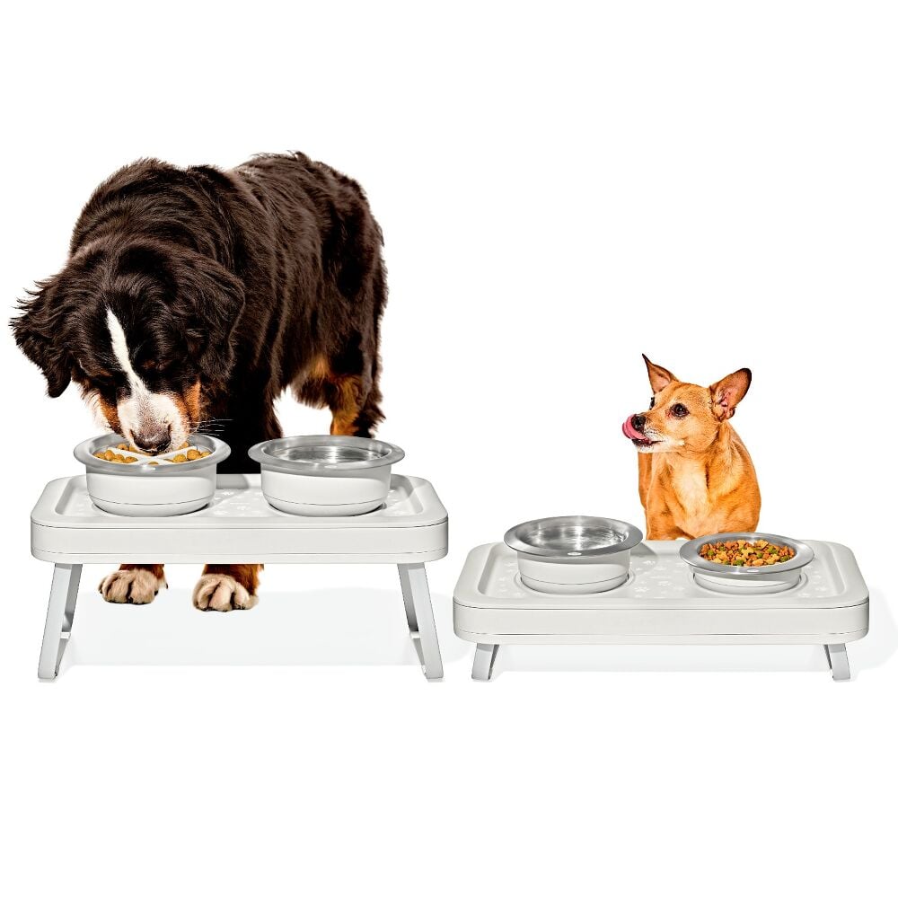 OXO Pet Adjustable Elevated Feeder J0