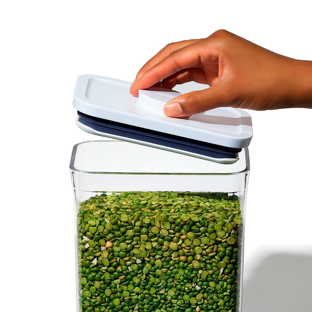 POP Container - Rectangle Medium (2.7 Qt/2.6 L) U9