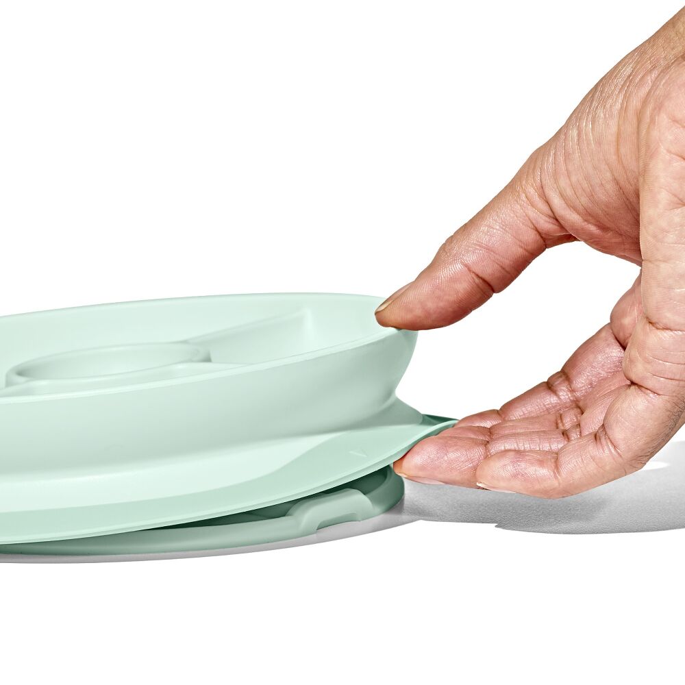 Stick & Stay Suction Divided Plate B5