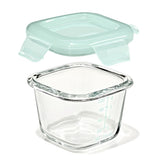 Glass Baby Blocks Food Storage Containers (4 oz) - Opal D9